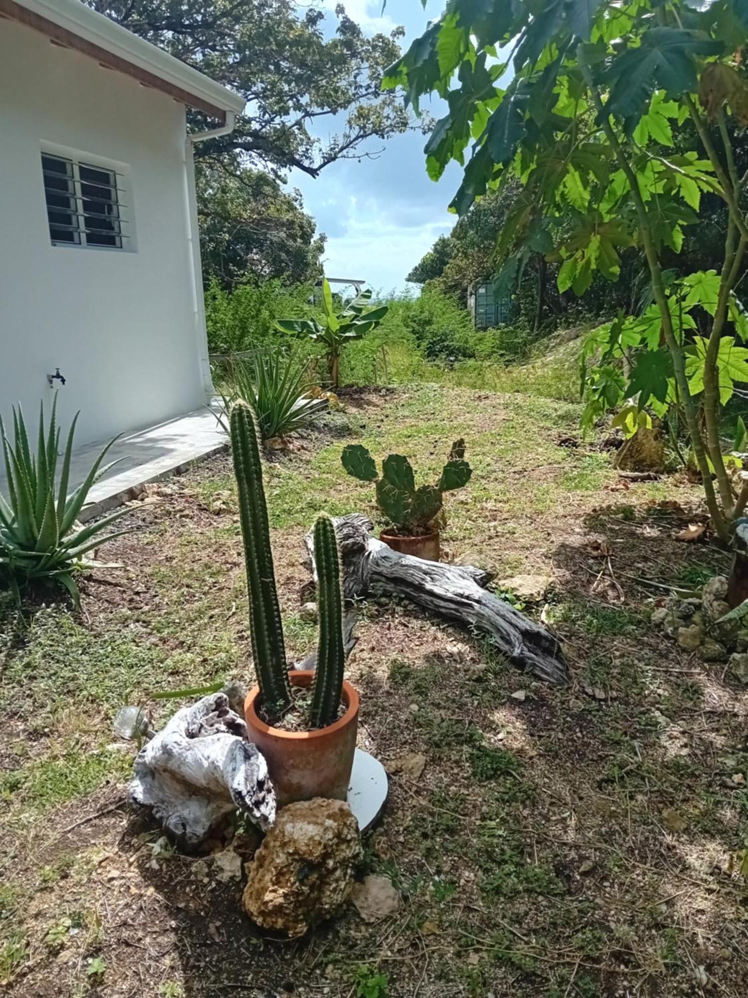 Kazacactus-Villa 3 Chambres Piscine Marie-Galante Beauséjour المظهر الخارجي الصورة