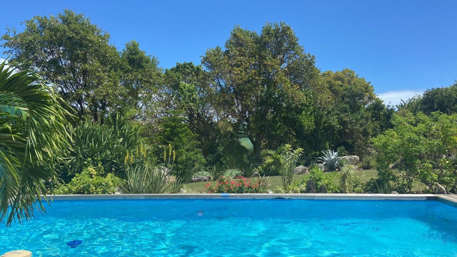 Kazacactus-Villa 3 Chambres Piscine Marie-Galante Beauséjour المظهر الخارجي الصورة